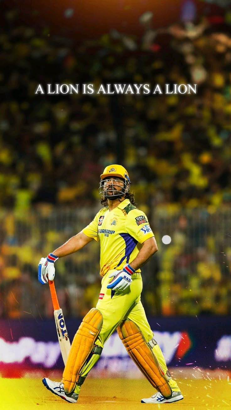 msd image